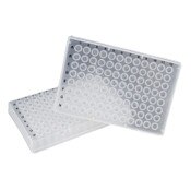 Sapphire 96 well PCR plate